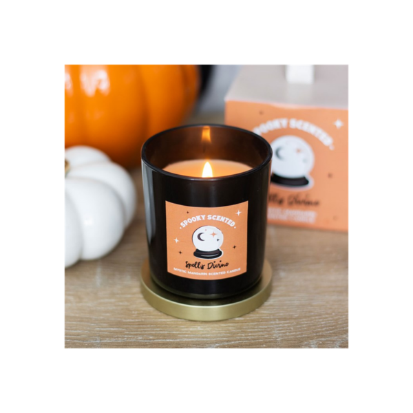 Spells Divine Mystic Mandarin Candle - Image 5